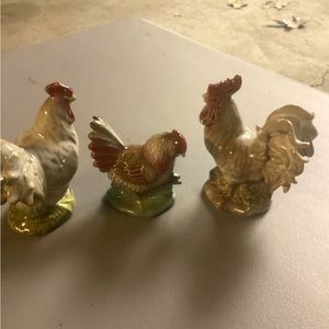 Beautiful trio of rooster and hens